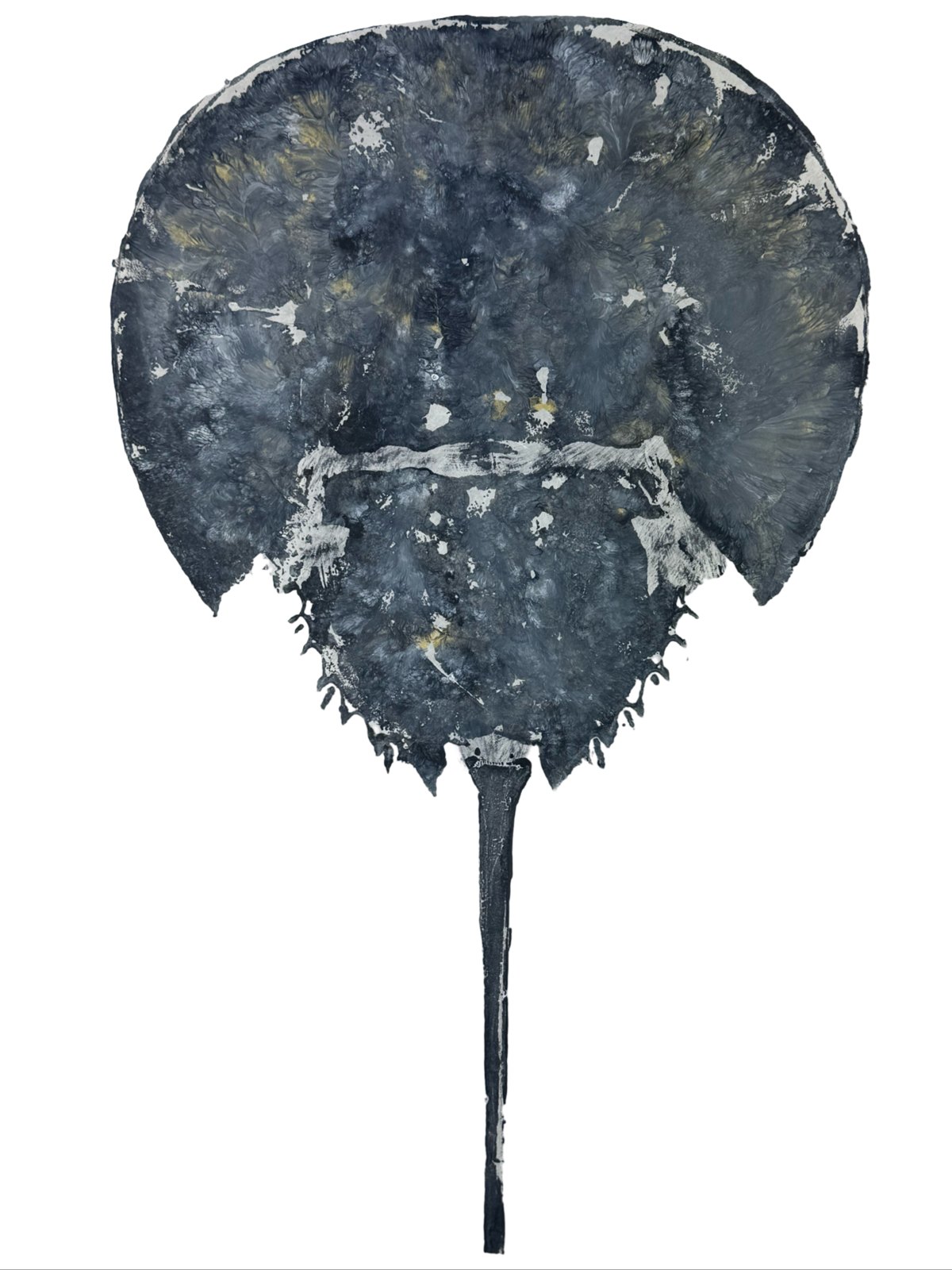 Antiqued Horseshoe Crab 14"x18"