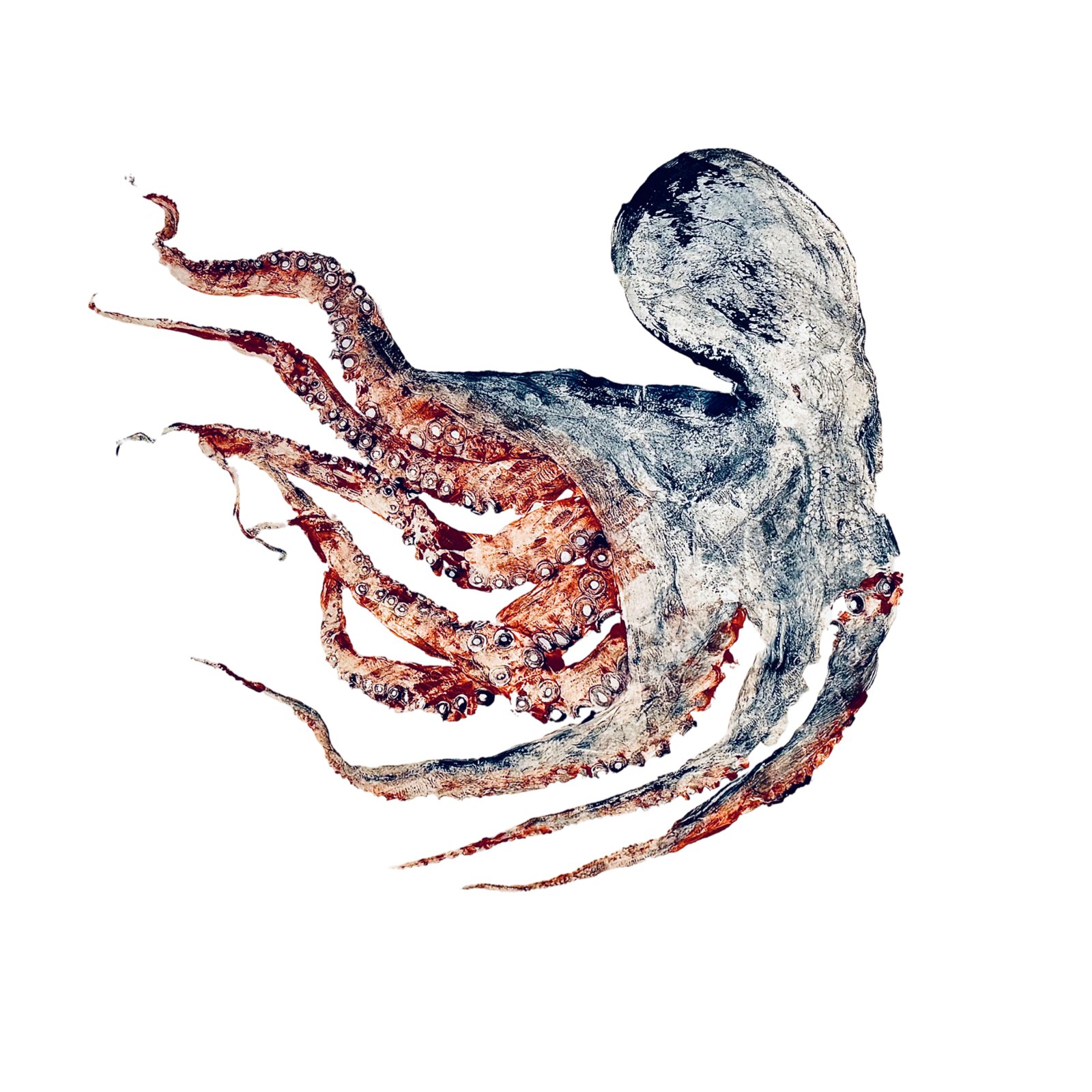 O.G. Octopus 16"x16"